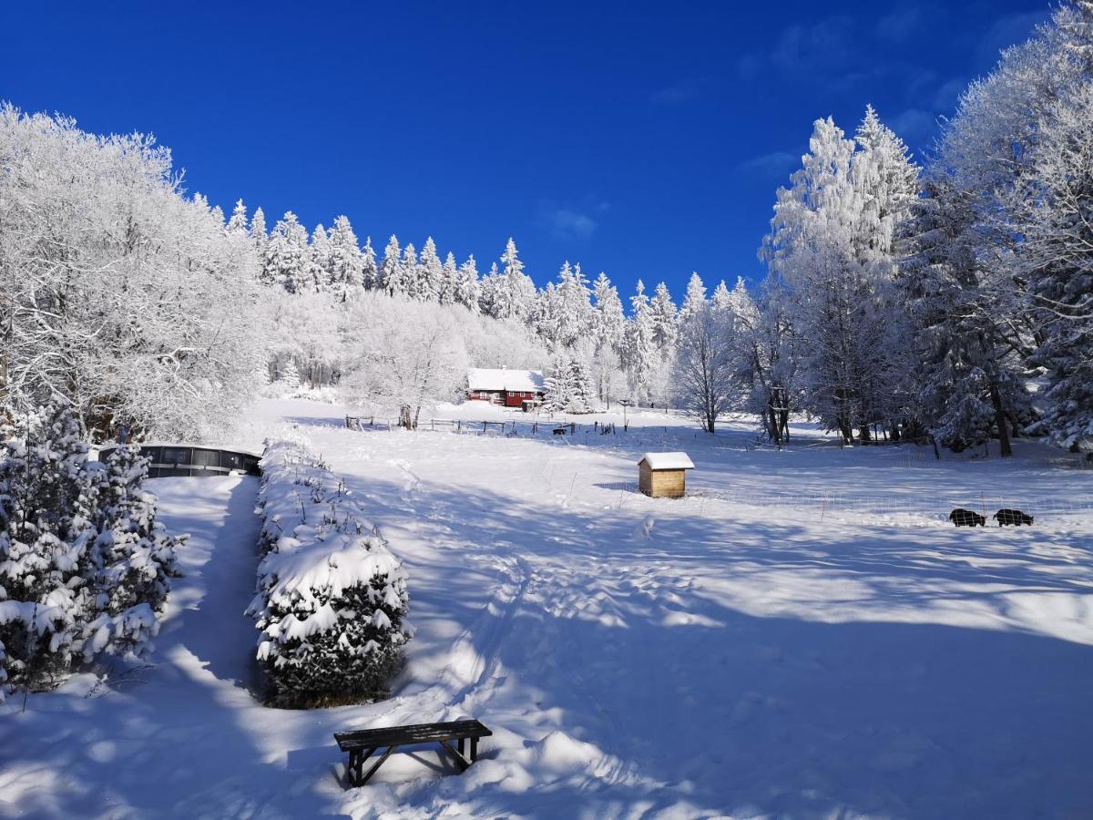 Chata Zákoutí Vítkovice Esterno foto