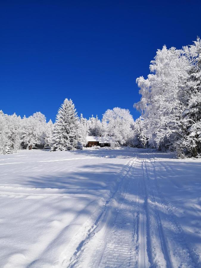 Chata Zákoutí Vítkovice Esterno foto